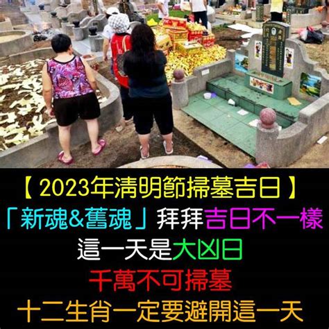 2023清明掃墓吉日|清明節掃墓吉日出爐！6生肖不選日子恐無福有禍